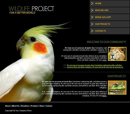 Webdesign 00097