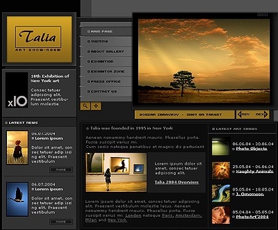 Webdesign 00321