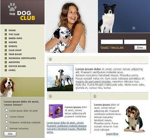 Webdesign 00461